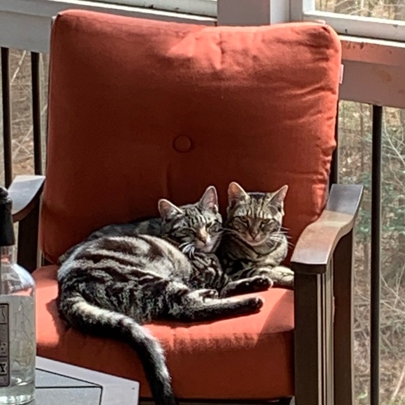 Meet your posher - Picture 2 of 6